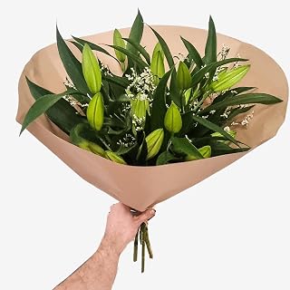 Just White Lilies - Stunning Floral Bouquet Fresh Flowers Delivered Next Day Prime Delivery, Perfect for Home, Scented Fresh Flower Gift