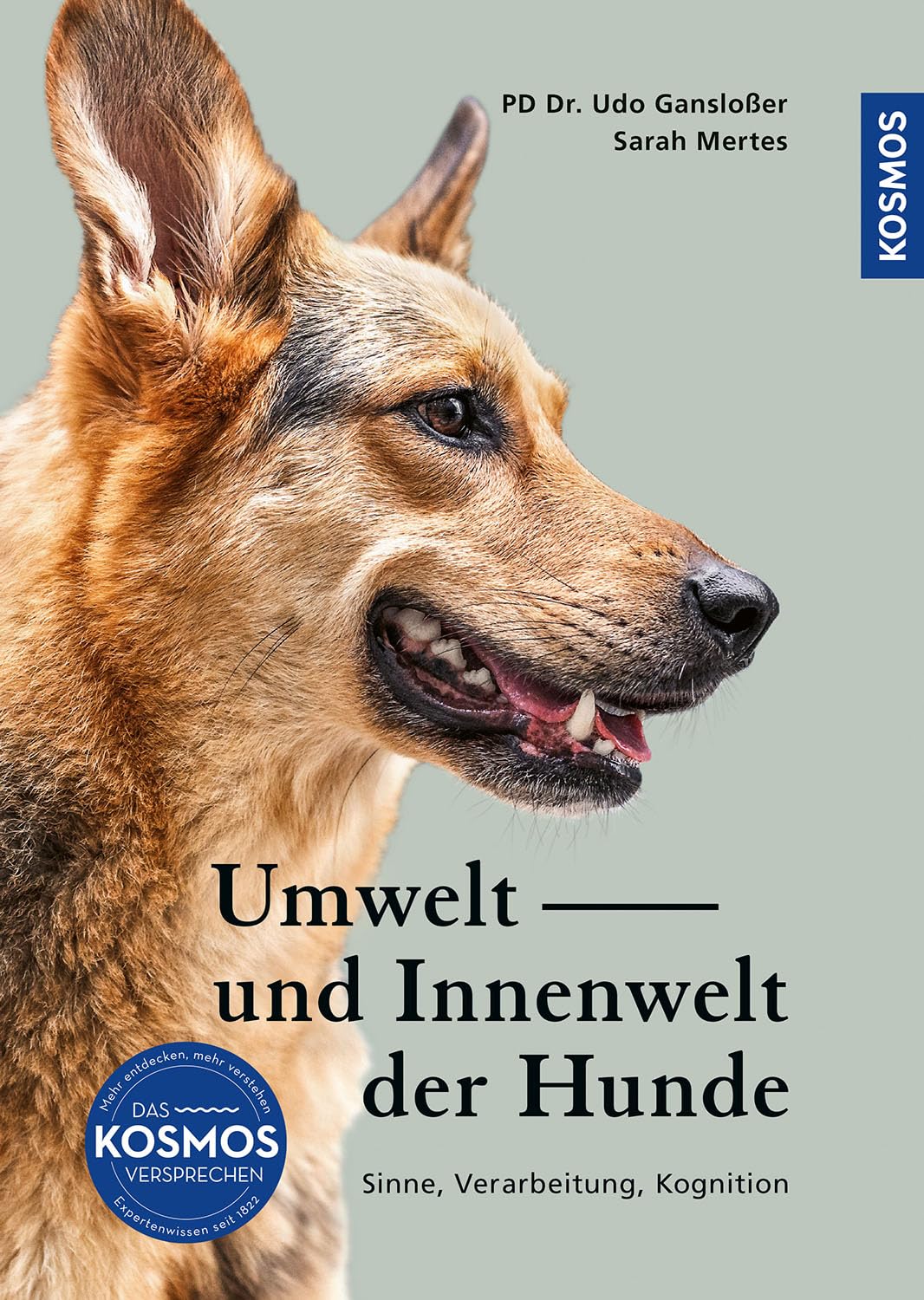 Umwelt und Innenwelt der Hunde: Sinne, Verarbeitung, Kognition. Neueste Erkenntnisse aus der Forschung und Übungen zur Förderung der Sinne und der sozialen Intelligenz.