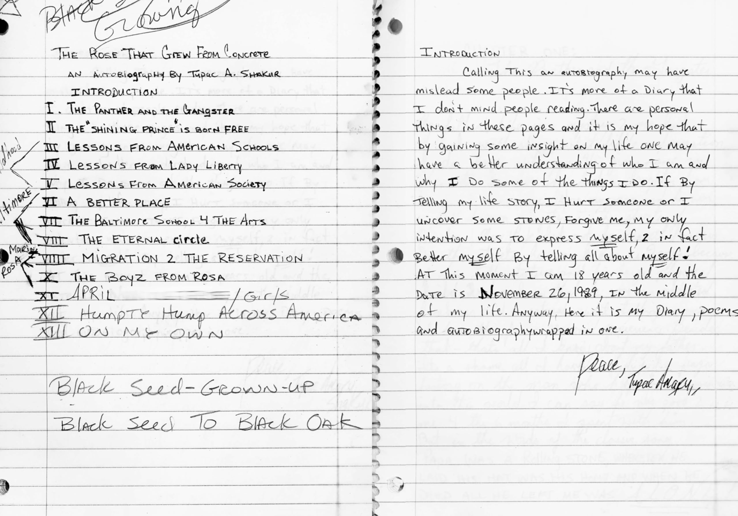 Tupac Shakur. La biografia autorizzata