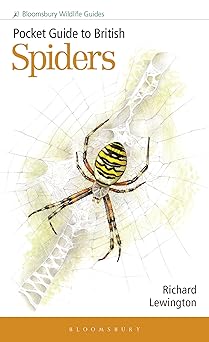 Pocket Guide to British Spiders (Bloomsbury Wildlife Guides)