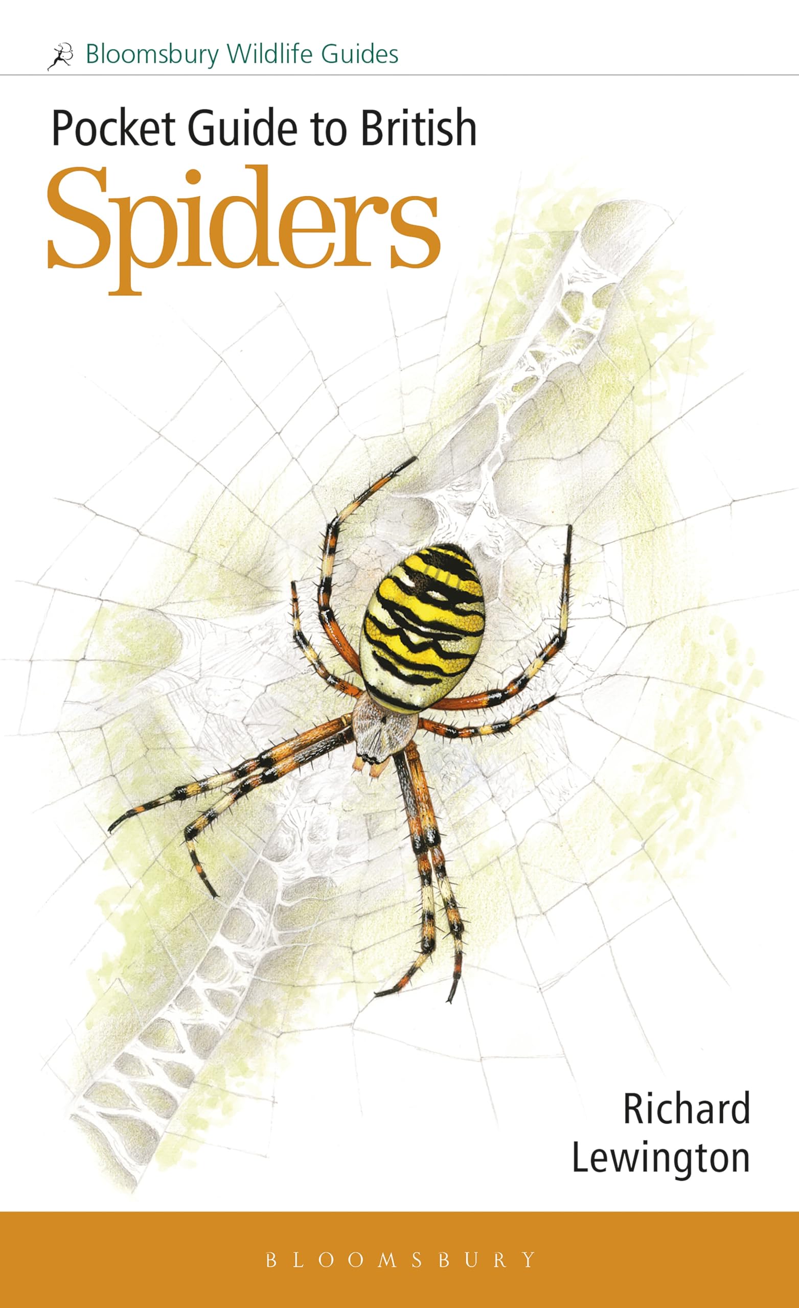 Pocket Guide to British Spiders by Richard Lewington Paperback