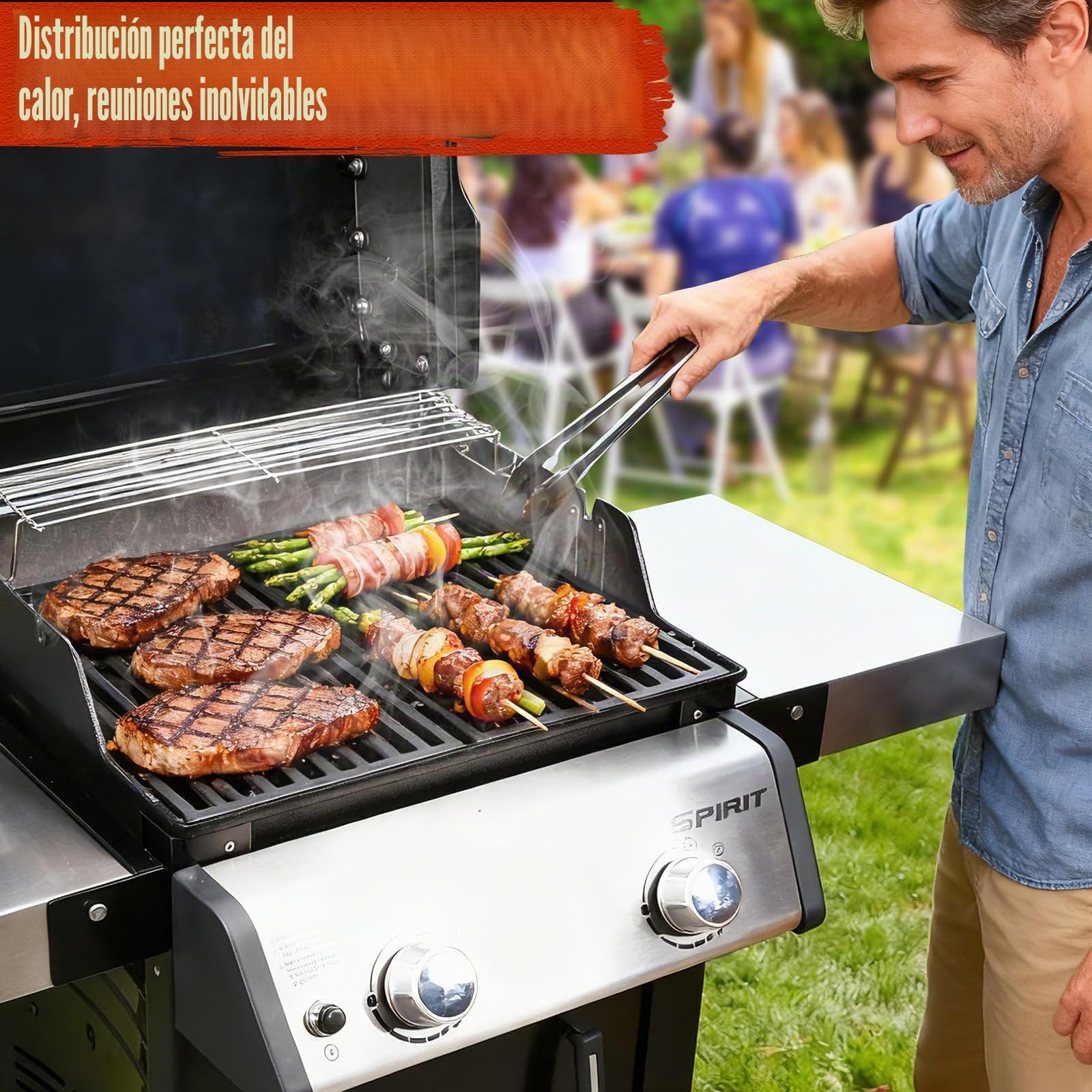 Denmay 7637 69799 - Parrilla de cocción de hierro fundido esmaltado, accesorio para modelos de parrilla Weber Spirit 200 E210 S210 46010074 (con botones de control frontal)