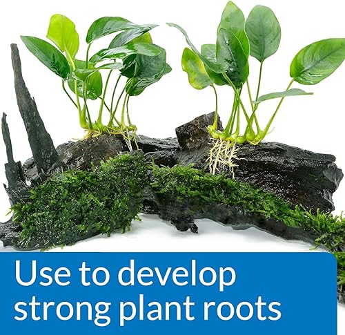 Vista 8 de API Root TABS - Fertilizante para plantas de acuario de agua dulce, caja de 10 unidades de 0.4 onzas