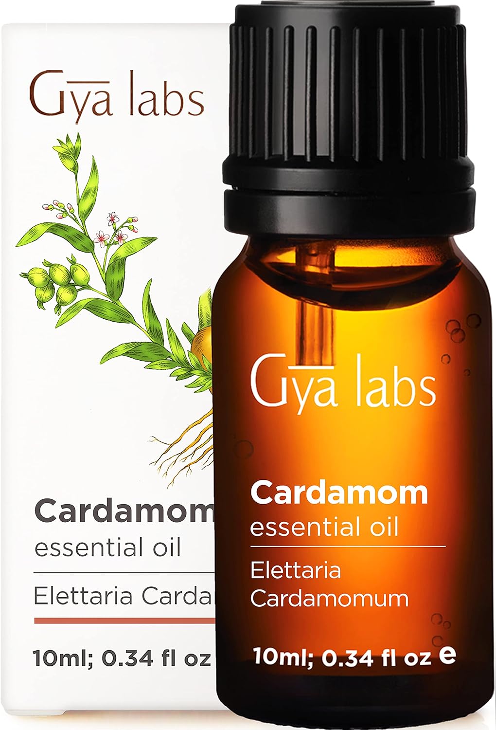 Gya Labs Cardamom Essential Oil for Nausea Relief and