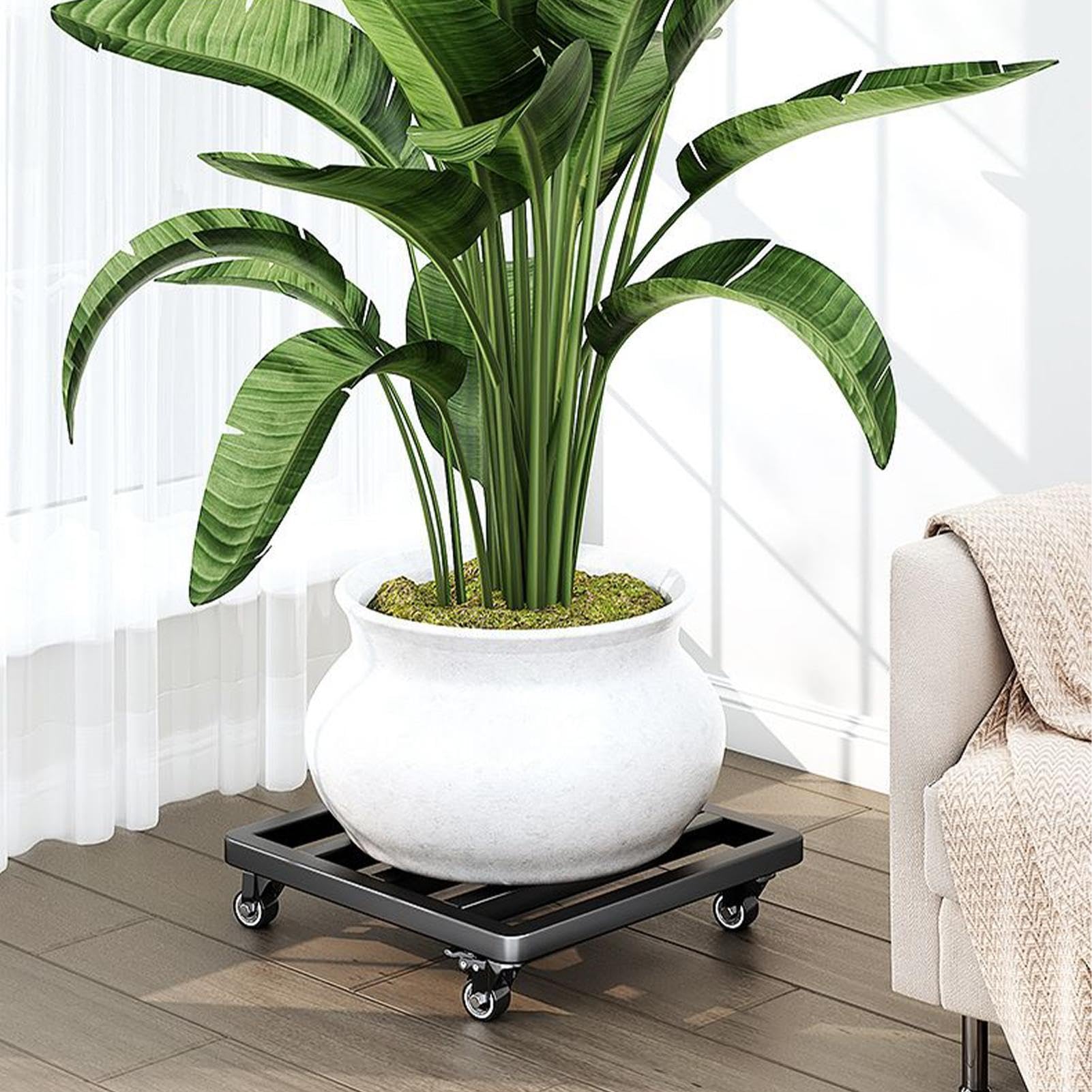 Supporto Rotelle per Piante 30 cm, Ruote Piombate Girevoli Bloccabili,