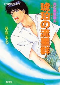 炎の蜃気楼4 琥珀の流星群