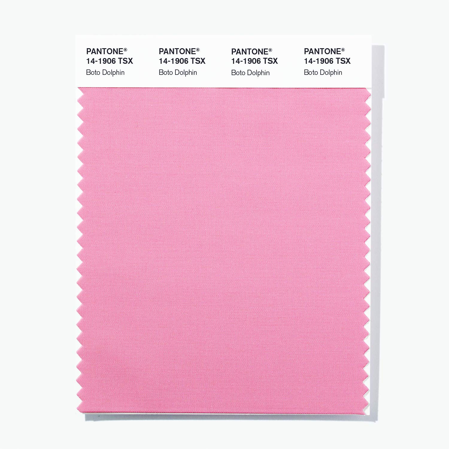 【Kiji】PANTONE FASHION+  Amazon.com: Pantone Cotton Swatch Card Color Standard, Color