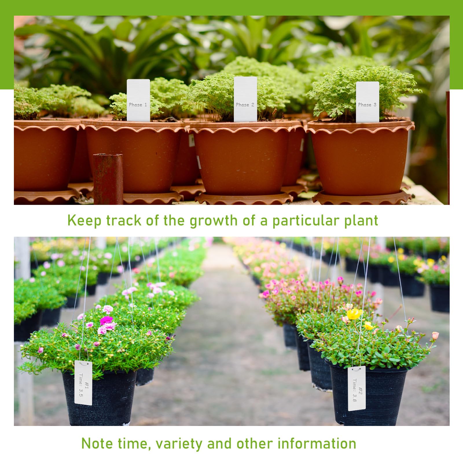 Tree Identifier Label Tree Identification Labels