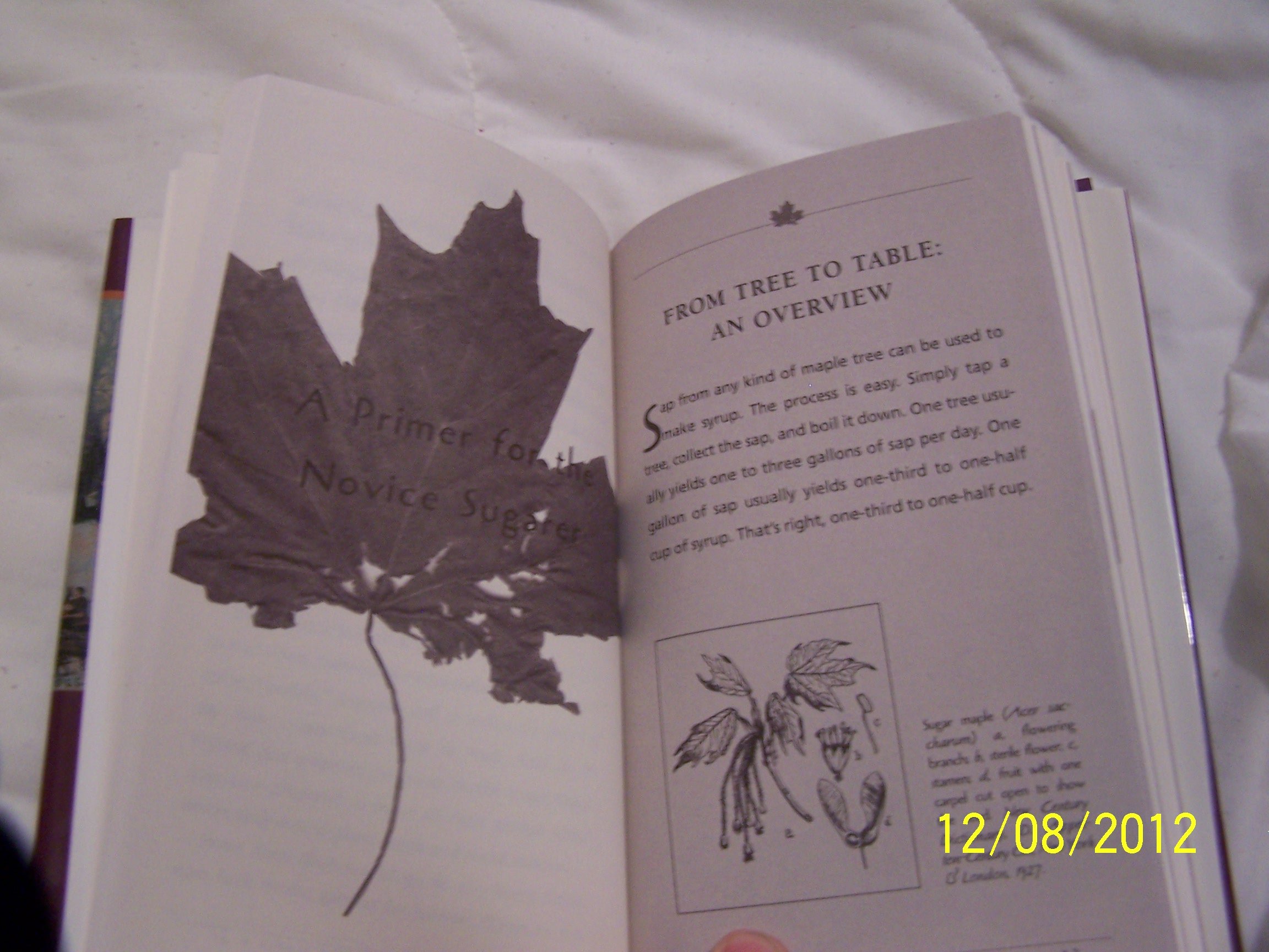 Sugartime: The Hidden Pleasures Of Making Maple Syrup Hauser, Susan Carol - PT02