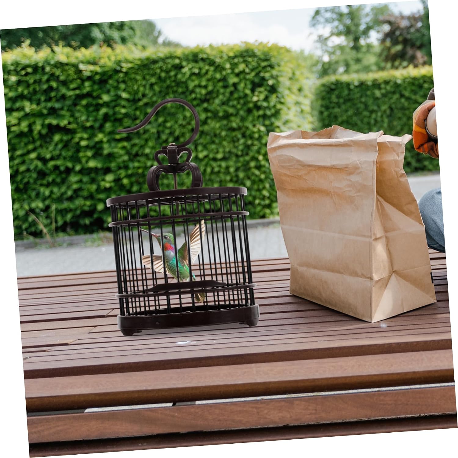 Toddmomy Hanging Decorative Pet Habitat Cage for Small Animals Lightweight and Portable Carrier for Crickets Grasshoppers and Hamsters Stylish Design for Home Decor and Outdoor Travel