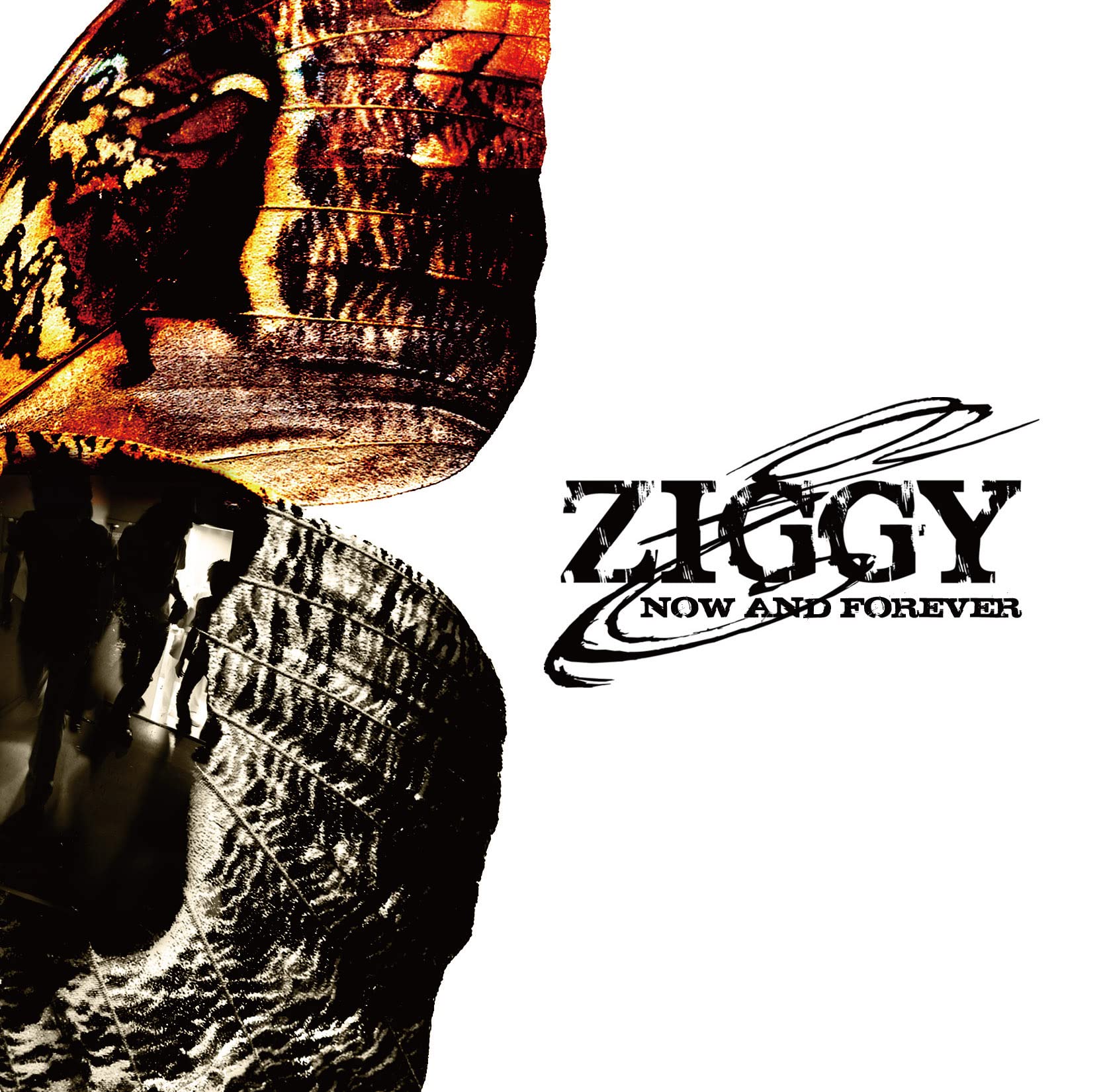 ZIGGY　ジギー　ヴィシセチュード・オヴ・フォーチュン ZIGGY ジギー ヴィシセチュード・オヴ・フォーチュン ZIGGY