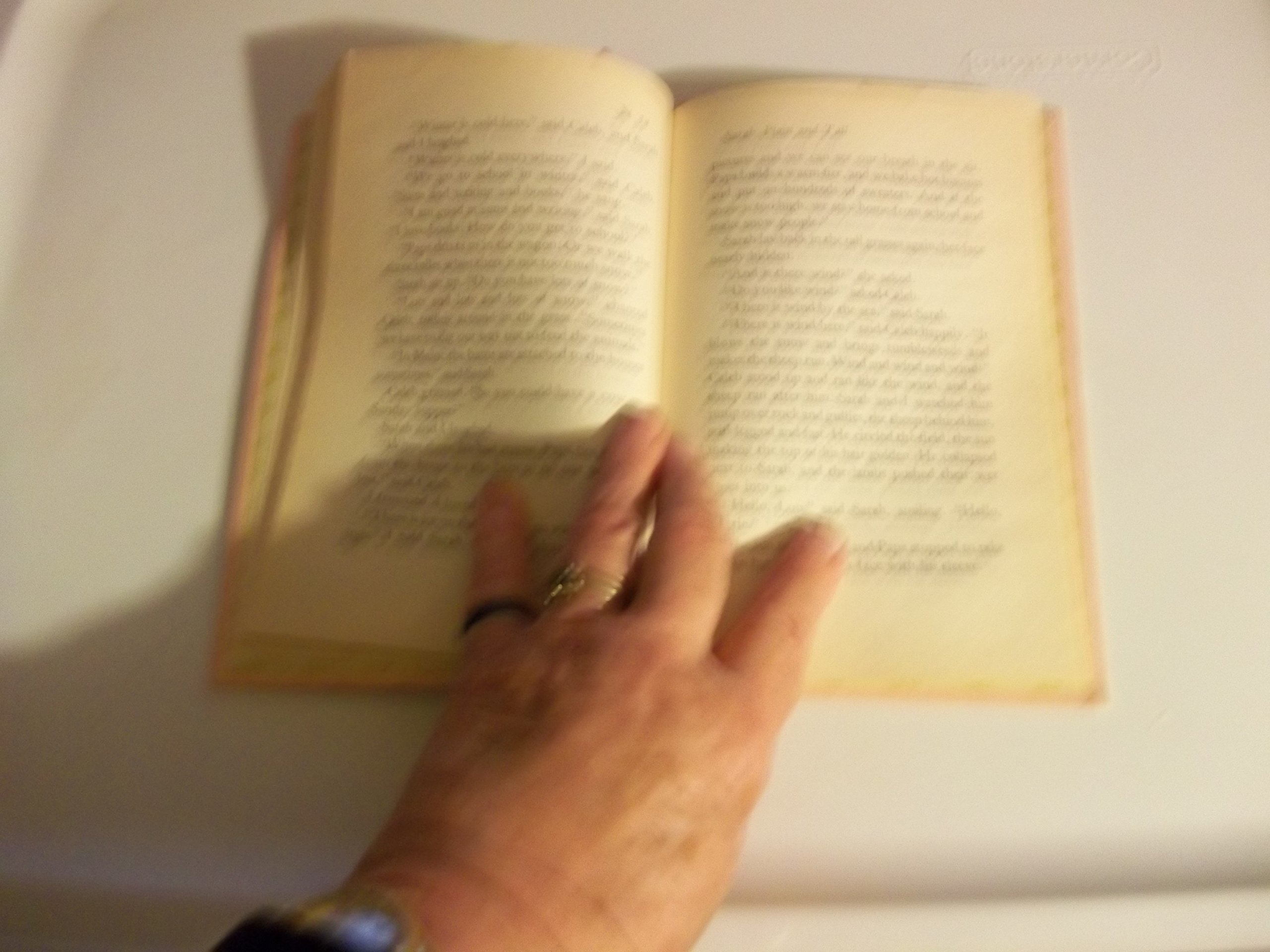 Sarah, Plain and Tall: A Newbery Award Winner (Sarah, Plain and Tall, 1) - Image 4