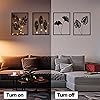 Product Photo 4