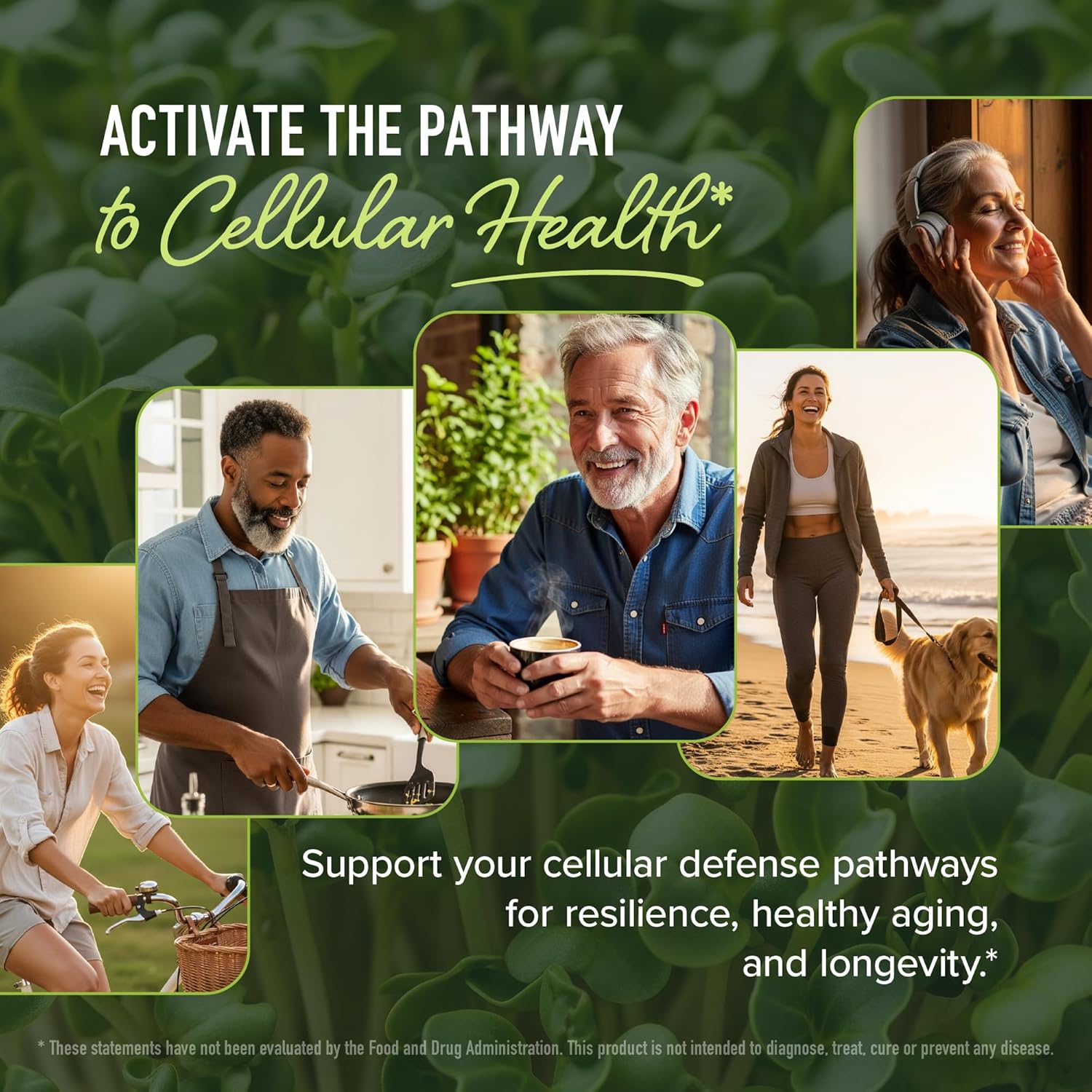 50MG Sulforaphane Supplement from Broccoli Sprouts | NRF2 Activation, Cellular Health & Immune Support | Glucoraphanin, Myrosinase & Antioxidants | Third-Party Tested | 60 Broccoli Seed Microbeadlets - Image 9