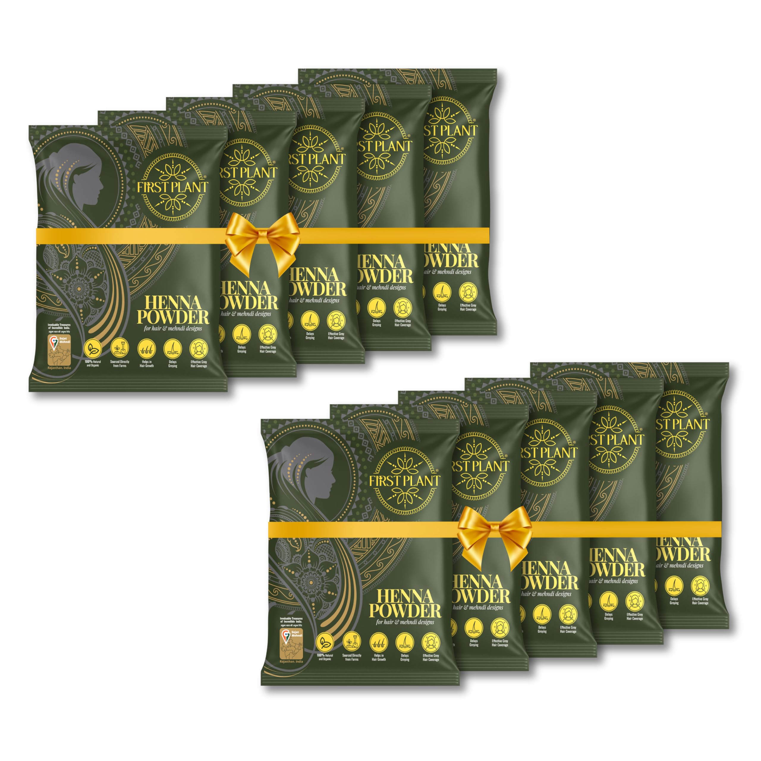 FIRST PLANT - Premium Rajasthani HENNA POWDER, 100% ORGANIC Henna with GI Tag for Hair Colour and Hair Care (Pack of 10 x 400g)-picture-21