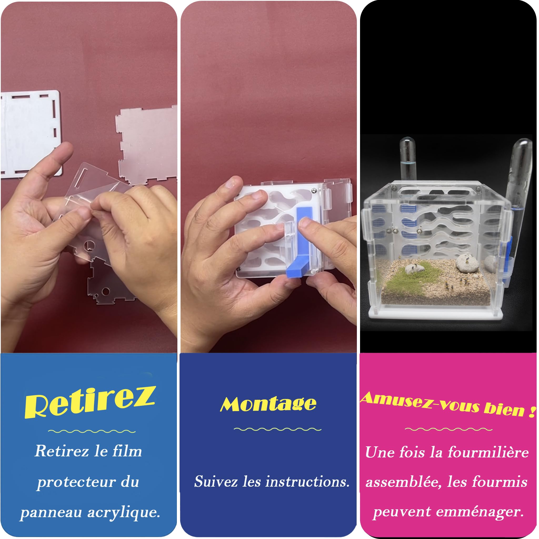 Kit de démarrage fourmilière acrylique système hydratation automatique facile installation nid fourmis peu entretien débutants