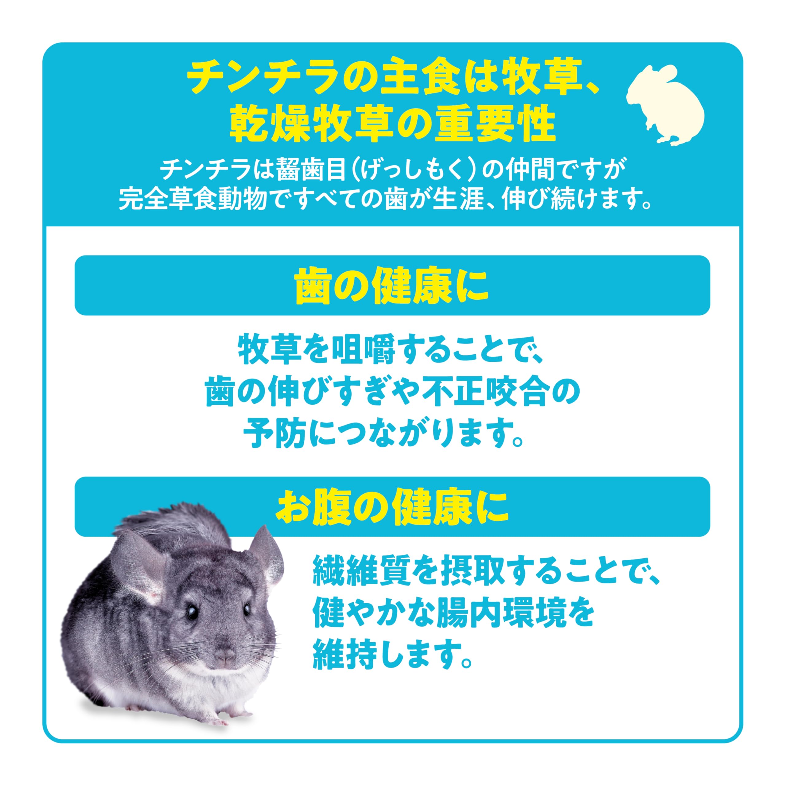 Amazon.co.jp: ジェックス チンチラプレミアムフード シンバイオ