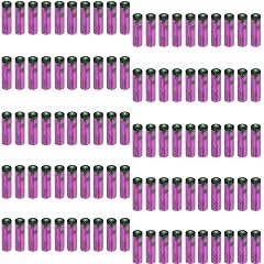 100-Pack SL-760 3 6V 2200mAh Non-Rechargeable PLC AA Lithium Replacement Battery for SL-760