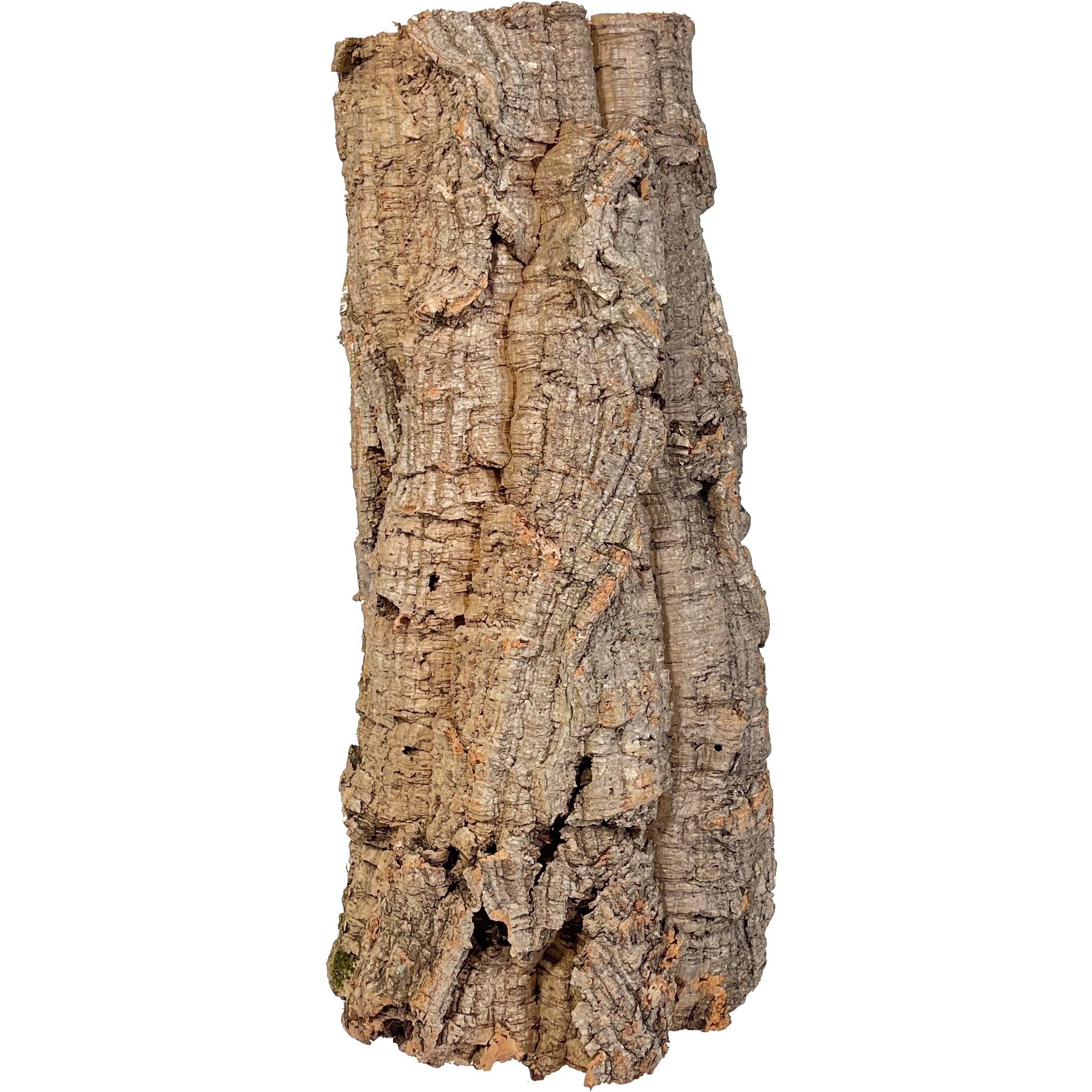Korkrinde für Terrarien oder als Deko Mind. 40 - max. 70 cm lang; Außendurchmesser: ca. 20-30 cm