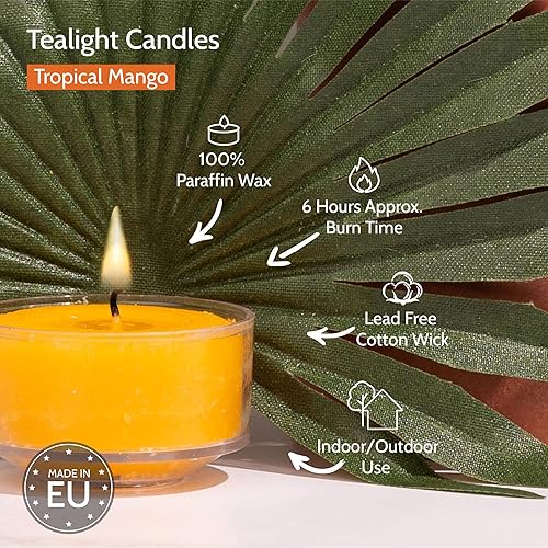 Miniatura 3 de HYOOLA Velas perfumadas de té  Taza transparente  Velas perfumadas de mango tropical  6 horas de tiempo de combustión  Paquete de 15  Fabricado en