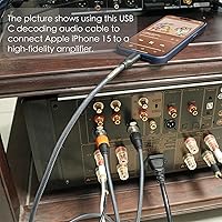 Vista 2 de Cable de audio USB C a doble XLR macho de 10 pies - Cable de audio USB C a XLR de alta fidelidad de 32 bits/384 Khz para conexión de teléfono a