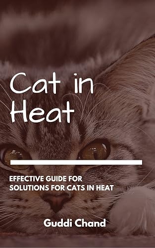 Cat in Heat: The effective guide for solutions for cats