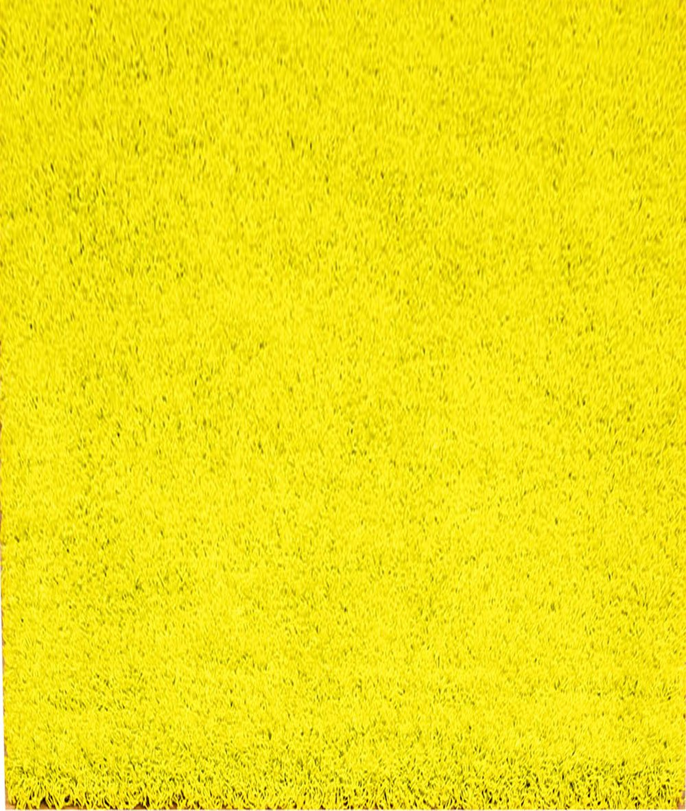 Aspect 60 x 110 cm Polypropylene Modern Thick Super Soft Shaggy Rug, Vibrant Green R35G