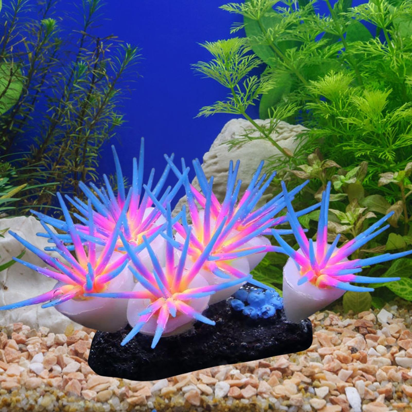 Générique Fish Tank Glowing Coral Ornaments, Silicone Soft Coral Decorations, 3.94x2.36in Artificial Luminous Aquarium Plants, Tank Decor, Suitable for Freshwater
