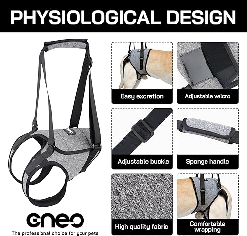 Miniatura 3 de Arnés de elevación para perros, arnés de perro para perros medianos y grandes, arnés de apoyo ajustable para patas traseras, arnés para mascotas de