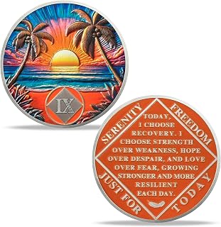 Imasoner 9 Year NA Sobriety Coin – Beach Serenity Recovery Medallion with Serenity Prayer | NA AA HA Chip for Narcotics & Alcoholics Anonymous | Sober Token Gift for Men & Women in Recovery