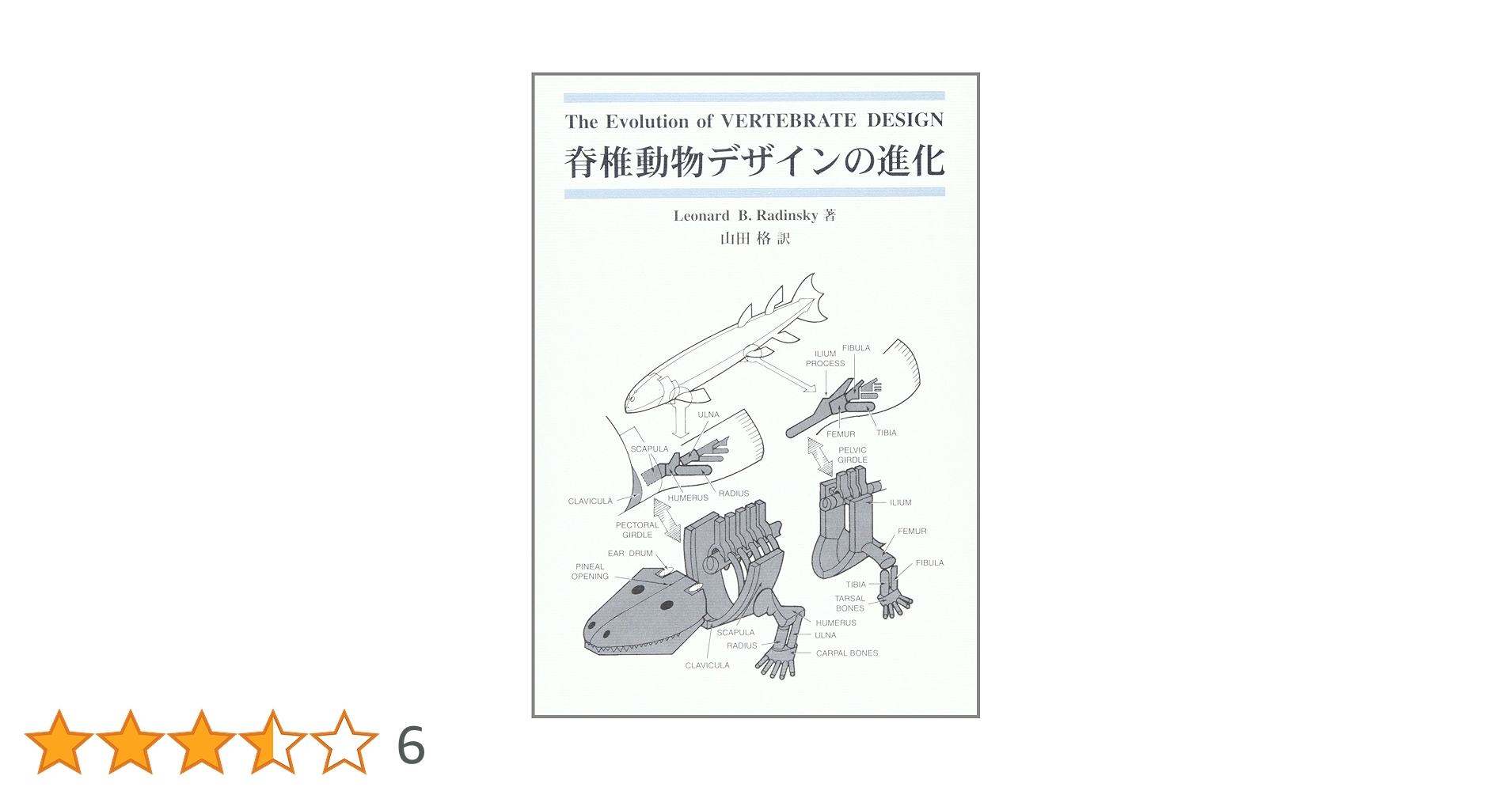 脊椎動物比較形態学 (1979年) 脊椎動物比較形態学 (1979年) | A.ポルトマン, 島崎 三郎 |本