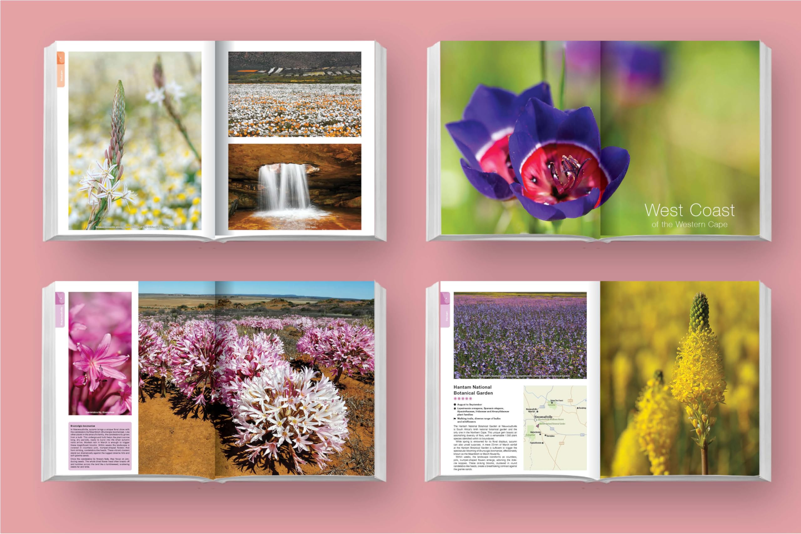 Namaqualand Self-Drive: Namaqualand, Nieuwoudtsville & West Coast