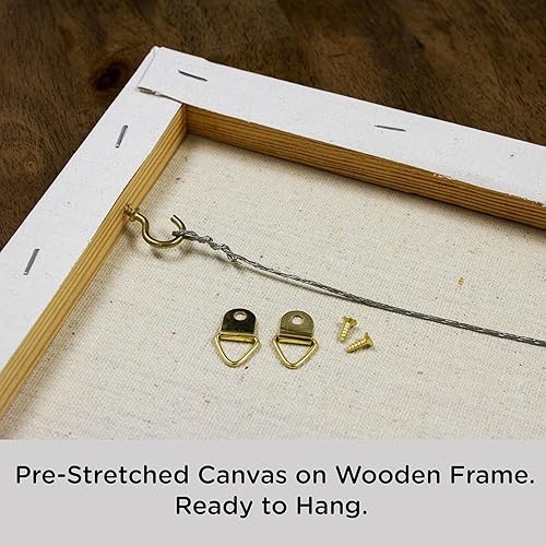 Miniatura 4 de AQUARIUS Star Wars Episodio IV A New Hope - Kit de pintura artística por números (lienzo estirado de 16 x 20 pulgadas), 24 pinturas, 3 pinceles,