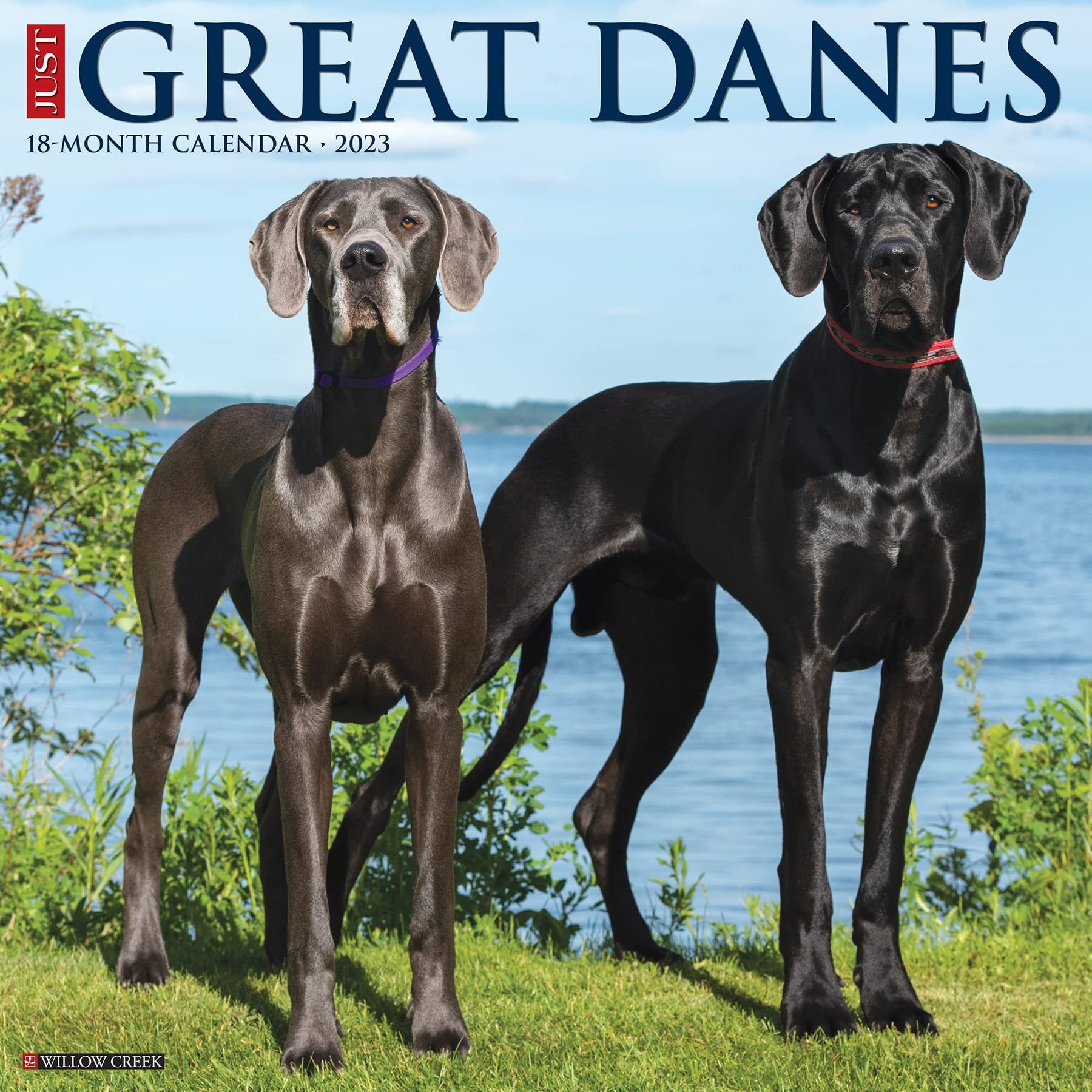 Are Great Danes Affectionate