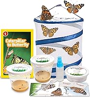 Vista 7 de Kit de mariposas vivas, 5 mariposas Dama pintada, jaula desplegable