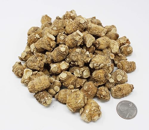 Vista 12 de DOL Ginseng Ginseng Americano Ginseng cultivado a mano seleccionado a mano Ginseng Perla, en caja. (Grande 4 onzas/caja*4)