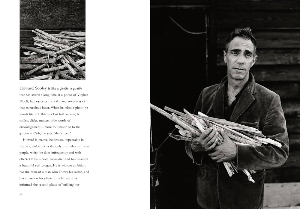 Amazon.com: Derek Jarman's Garden: 30th Anniversary Edition