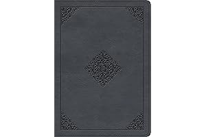 ESV Large Print Bible with Wide Margins for Note Taking