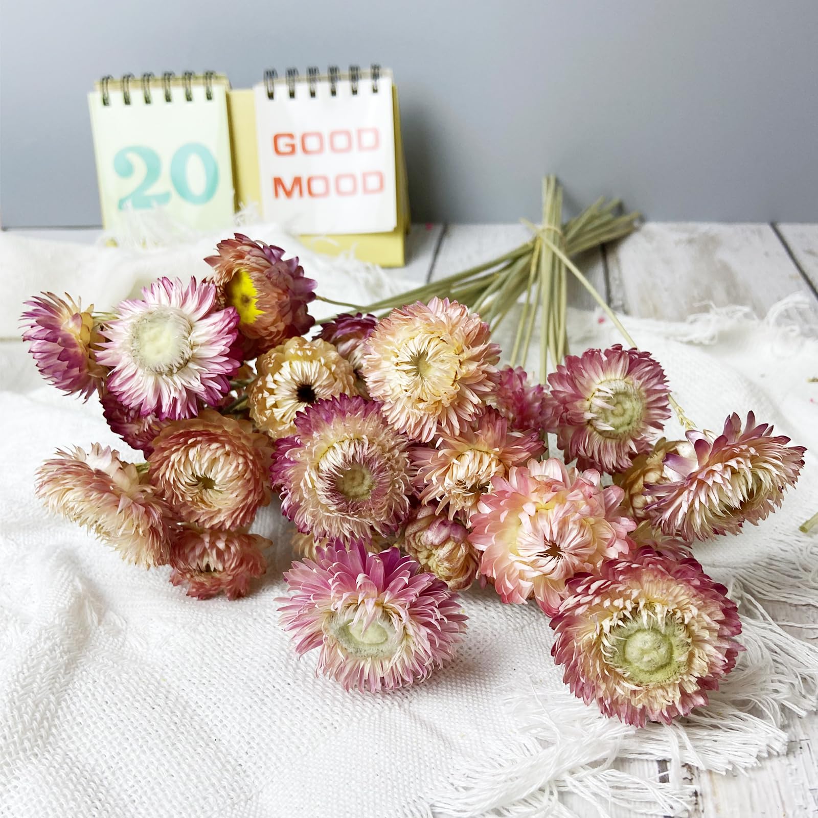 Birtlynn 100% Natural Daisy Flowers, Dried Flower Bouquets-30Pcs Pink Daisies Chrysanthemums, 17 Inch Arrangements for Vase, Home Decoration Photo Props Parties and Weddings-Daisy Pink