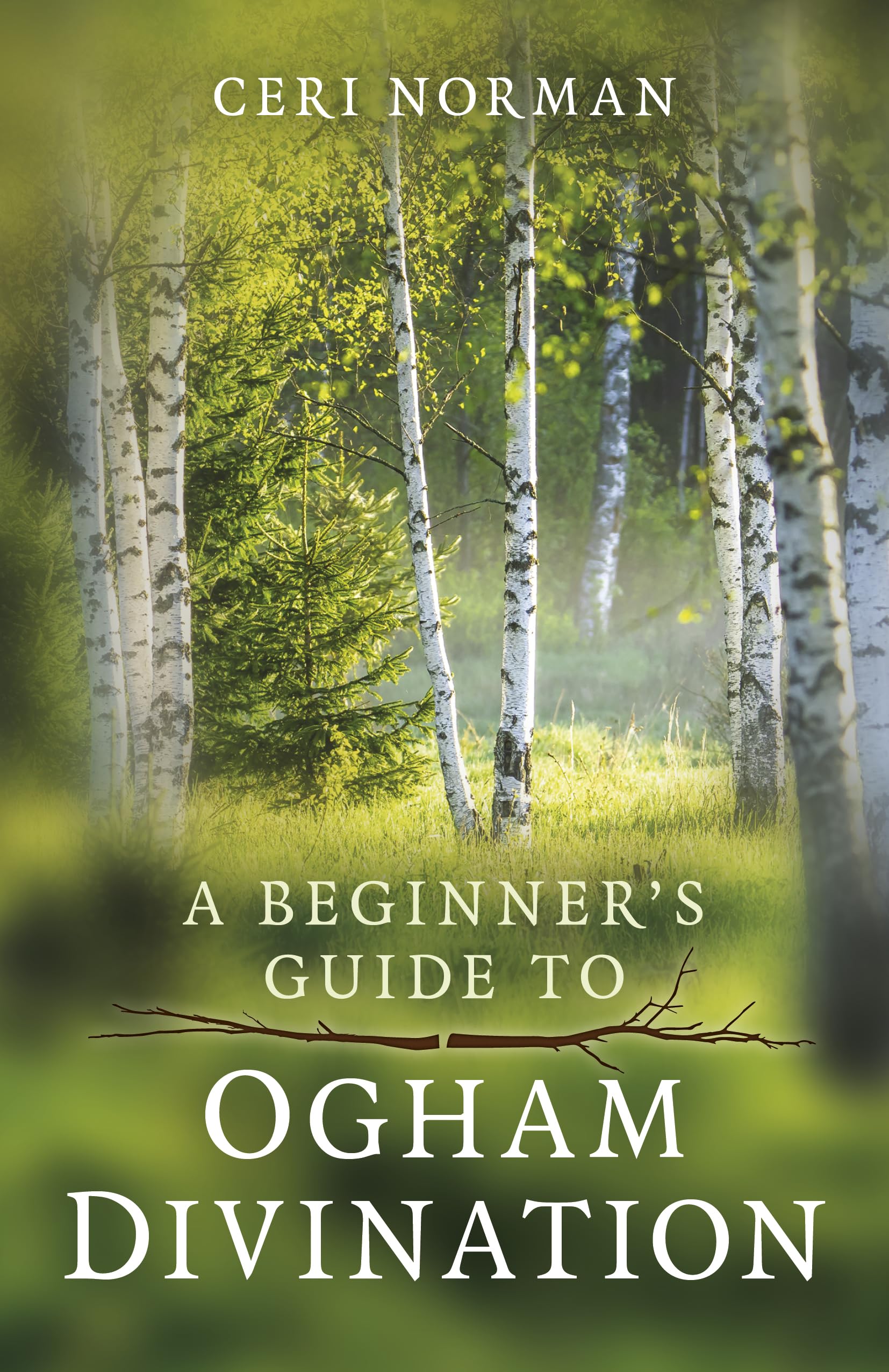 Beginner's Guide to Ogham Divination, A (Paganism & Shamanism)