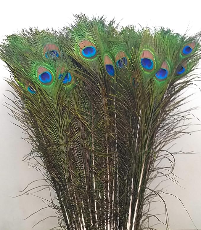 Red Crush Mor Pankh Real Peacock Feather Original Tails Décor Big and