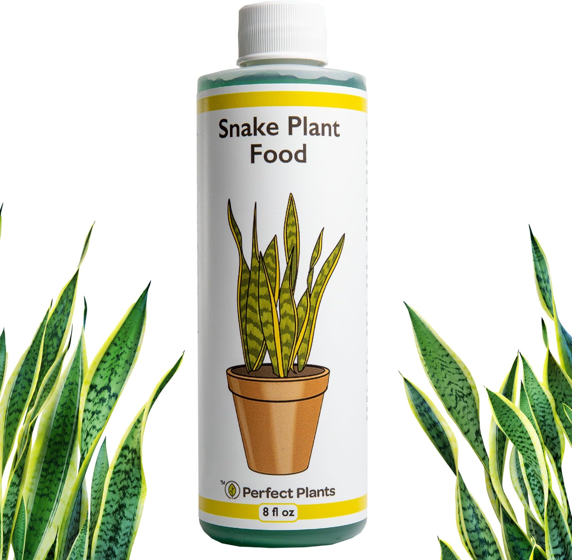 Perfect Plants Liquid Snake Plant Fertilizer | 8oz. of Premium Concentrated Sansevieria Food | Use with Mother-in-Laws Tongue and Other Varieties