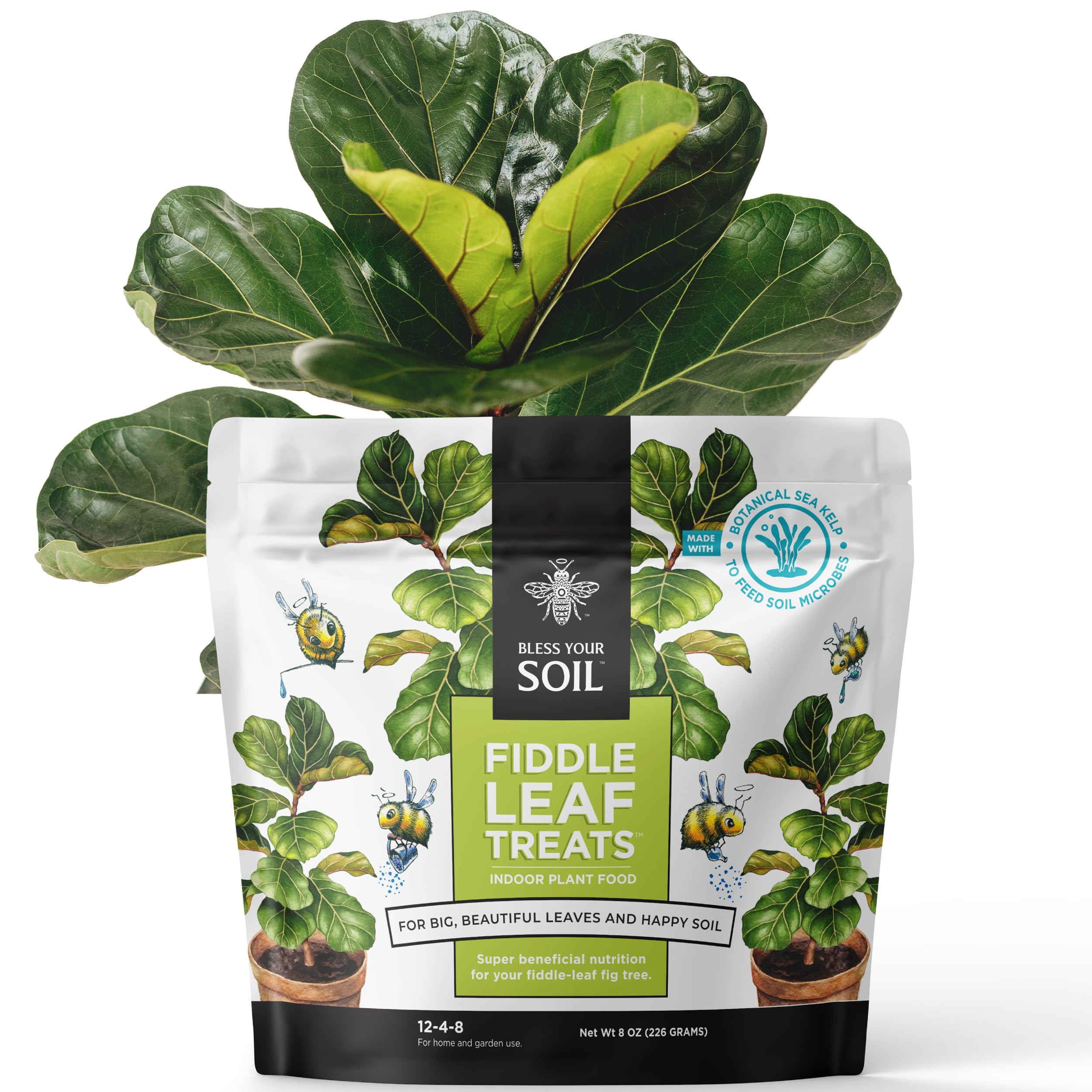 Fiddle Leaf Fig Plant Food - Fiddle Leaf Treats | Urea-Free Fertilizer | Fast Acting for Bigger Leaves and Stress Tolerance, 4X More Concentrated Than Liquid Plant Food | for All Ficus Plants