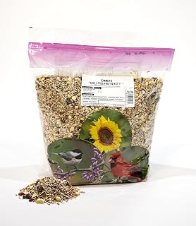 Shell Free Fruit and Nut Bird Seed 10-pound bag
