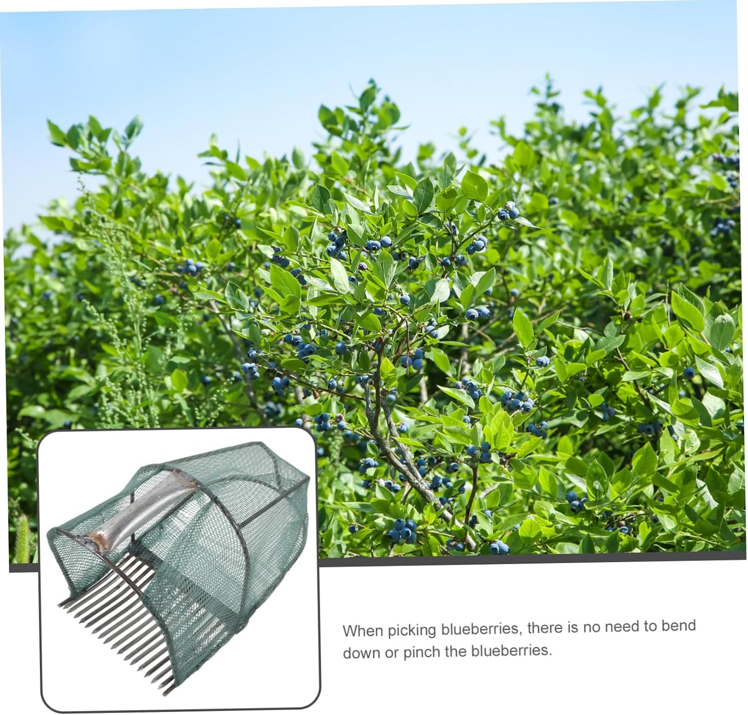 Telescopic Fruit Picker Blueberry Harvester Tool Easy Blueberry Pickers Baskets