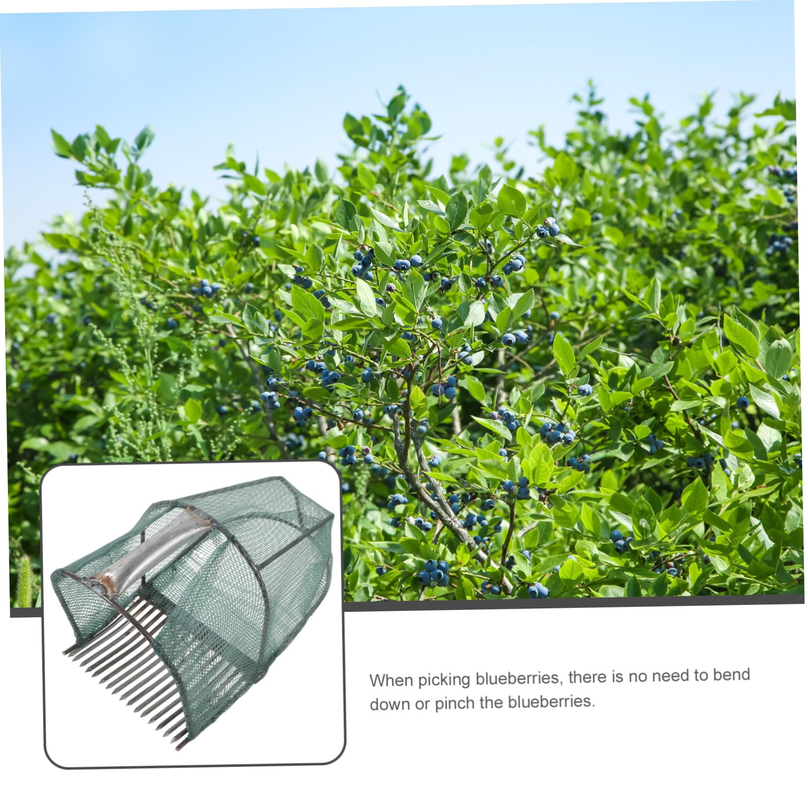 ifundom Cueilleur de Fruits Pliable pour Myrtilles avec Panier en Acier Inoxydable, Compact et Léger, Outil Cueillette Jardin
