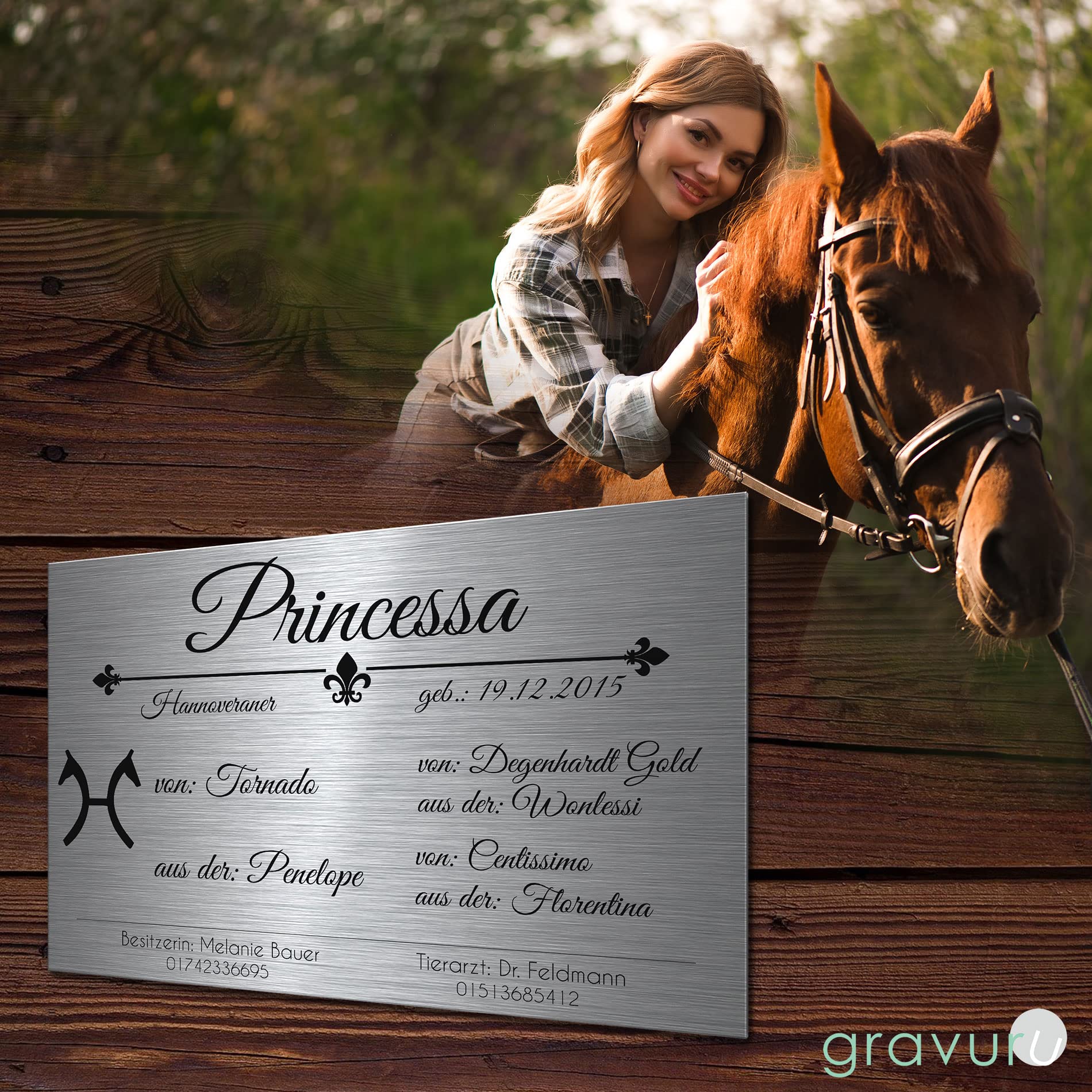 CHRISCK design Pferdeschild aus Premium Edelstahl mit Gravur | Namensschild Boxenschild Stallschild wahlweise mit Bohrlöcher 30x20 cm mit Brandzeichen und Motiven Ideal für den Stall Pferdebox… (D5)