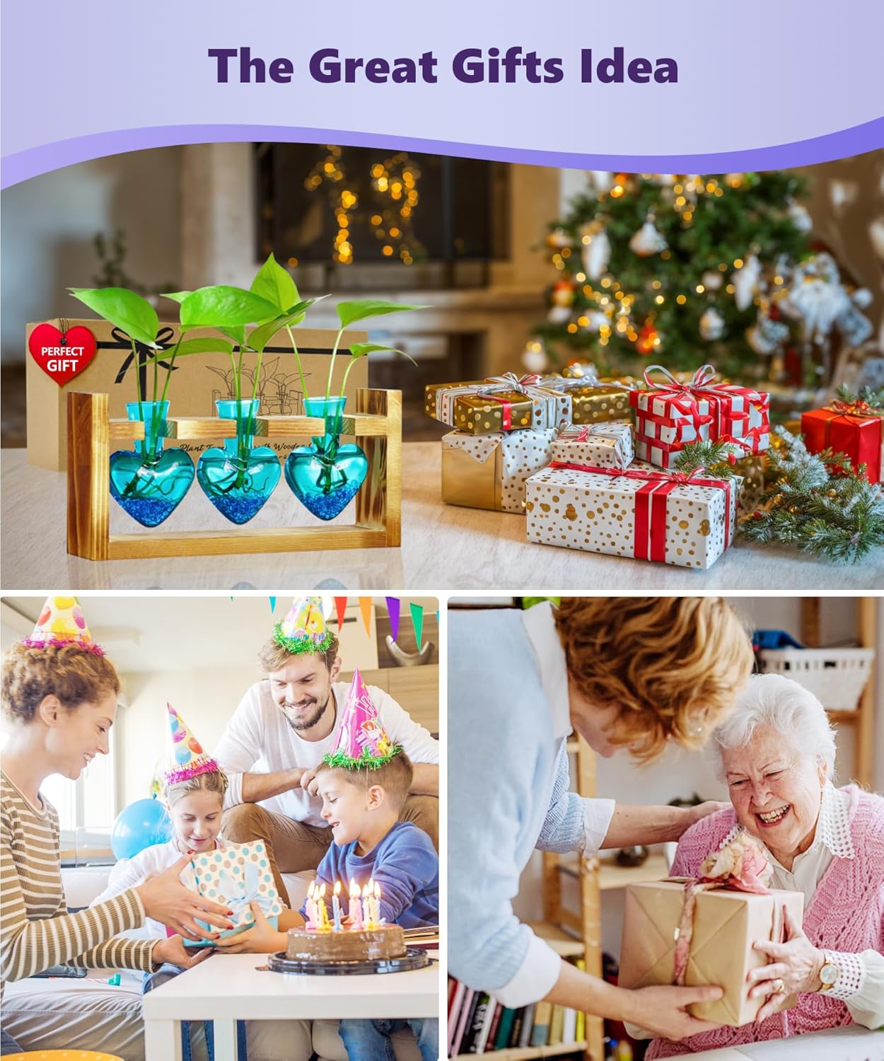 Nacome Bundle of Solar Cat with Butterfly and Heart Plant Terrarium