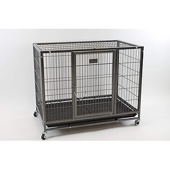 home prepared diets for dogs