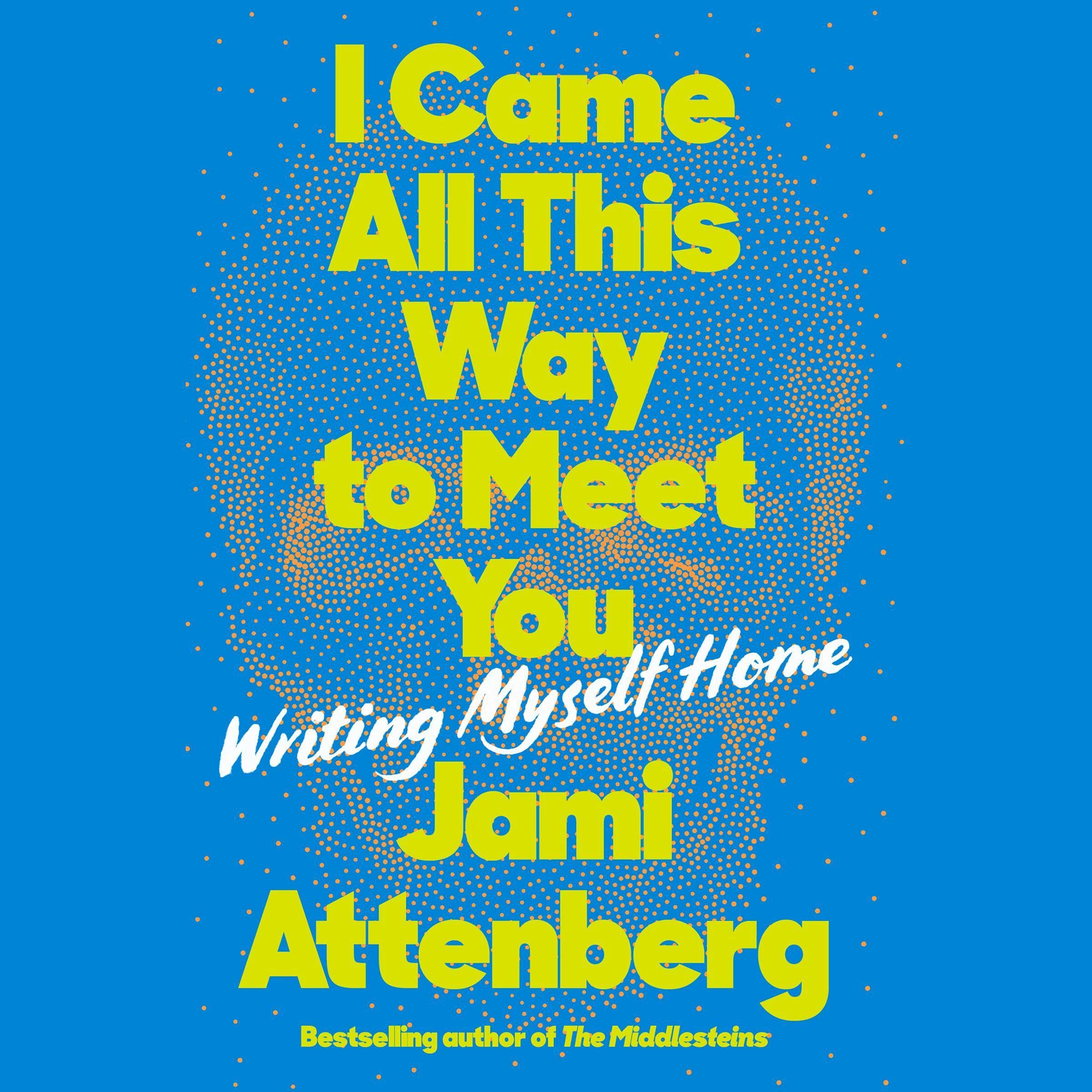 Cover art for I Came All This Way to Meet You